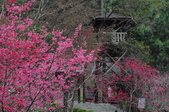 Enlarge photo 131