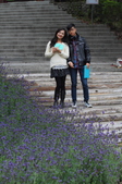 Enlarge photo 130