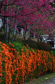 Enlarge photo 129