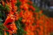 Enlarge photo 126
