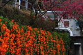 Enlarge photo 123