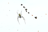 Enlarge photo 122
