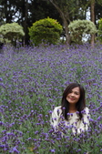 Enlarge photo 115