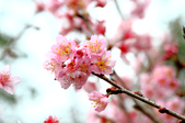 Enlarge photo 106
