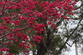 Enlarge photo 104