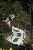 Enlarge photo 97