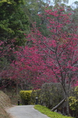 Enlarge photo 96