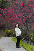 Enlarge photo 92