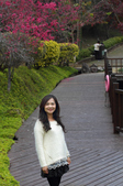 Enlarge photo 93