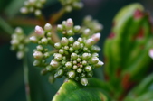 Enlarge photo 91