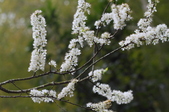 Enlarge photo 80