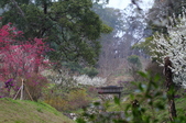 Enlarge photo 75
