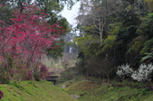 Enlarge photo 73