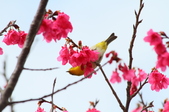 Enlarge photo 63