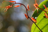 Enlarge photo 59