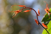 Enlarge photo 58