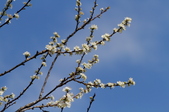Enlarge photo 56