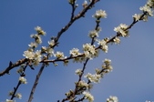 Enlarge photo 55