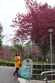 Enlarge photo 48