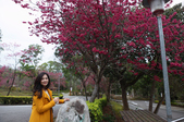 Enlarge photo 47