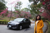 Enlarge photo 46