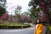 Enlarge photo 44