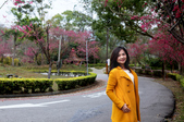 Enlarge photo 45