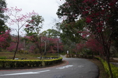 Enlarge photo 43