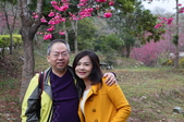Enlarge photo 42