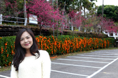 Enlarge photo 35