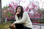 Enlarge photo 33