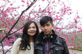 Enlarge photo 31