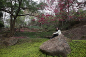 Enlarge photo 28