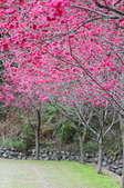 Enlarge photo 206