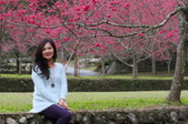 Enlarge photo 205