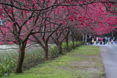 Enlarge photo 200