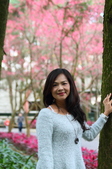 Enlarge photo 184