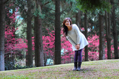 Enlarge photo 183