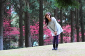 Enlarge photo 182