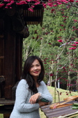 Enlarge photo 174