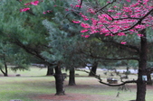 Enlarge photo 166