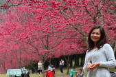 Enlarge photo 156