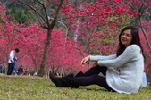 Enlarge photo 155