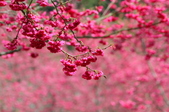 Enlarge photo 149