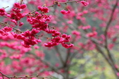 Enlarge photo 147