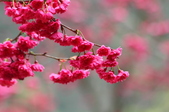 Enlarge photo 146