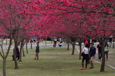 Enlarge photo 145