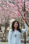 Enlarge photo 143