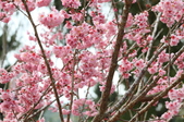 Enlarge photo 142