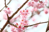 Enlarge photo 137